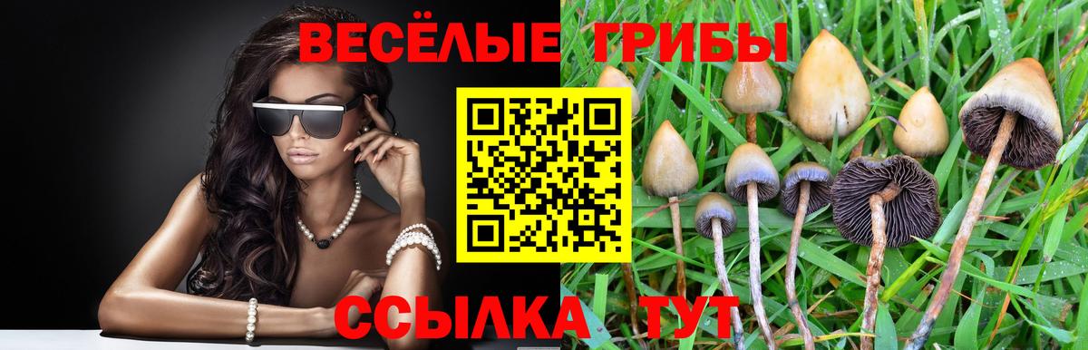 Галлюциногенные грибы Magic Shrooms Новоалександровск
